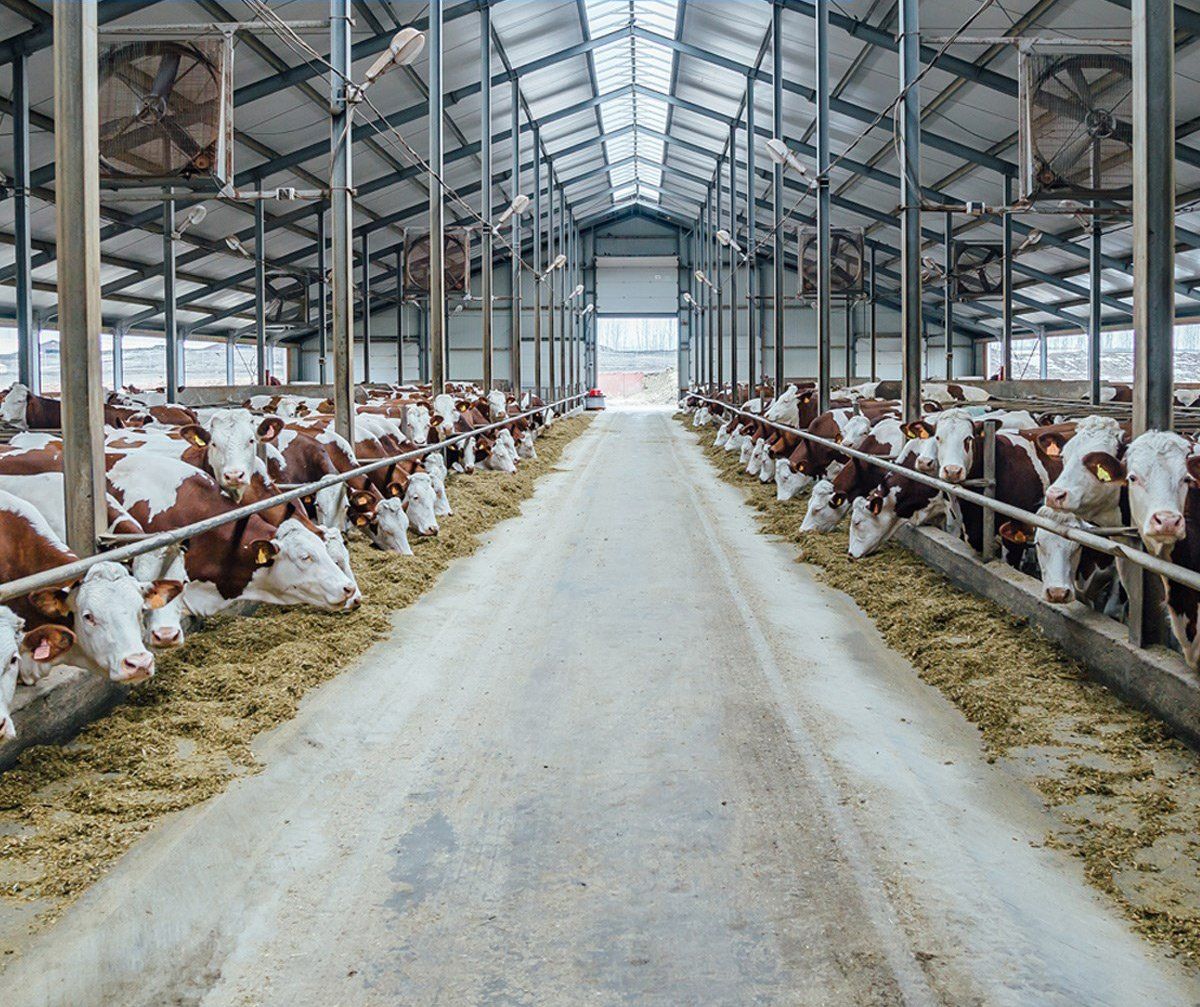 Spostamento dei serbatoi