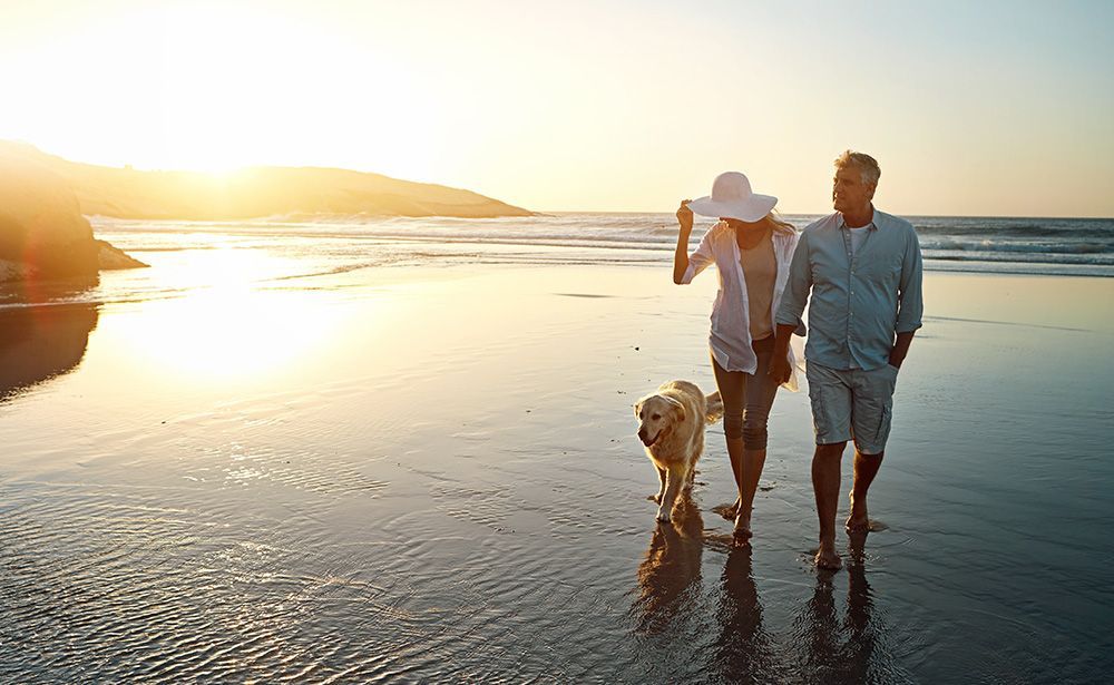 Couple and dog walking on beach at sunset, holding hands.
