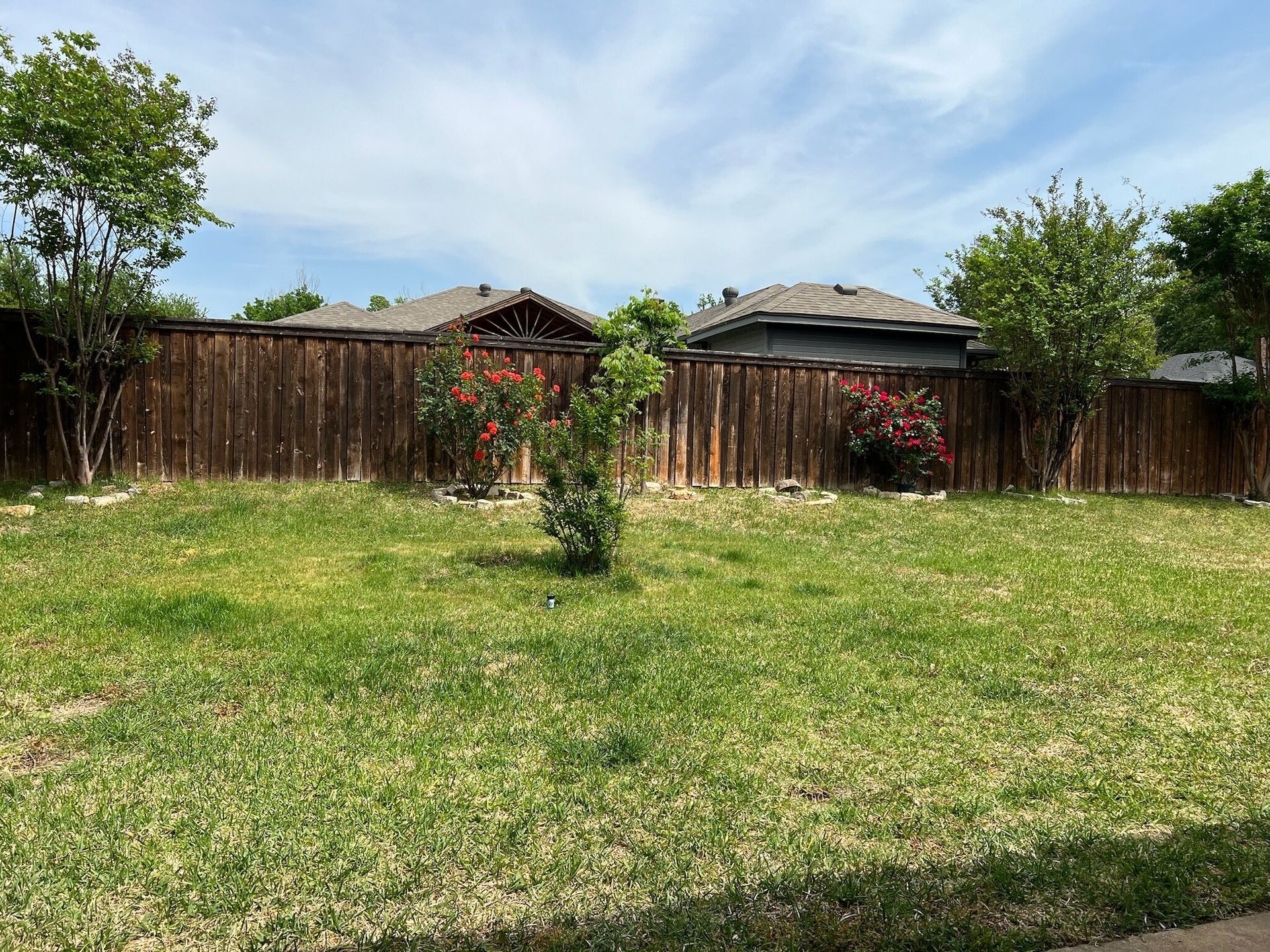 A lush green yard with a wooden fence and a house in the background.