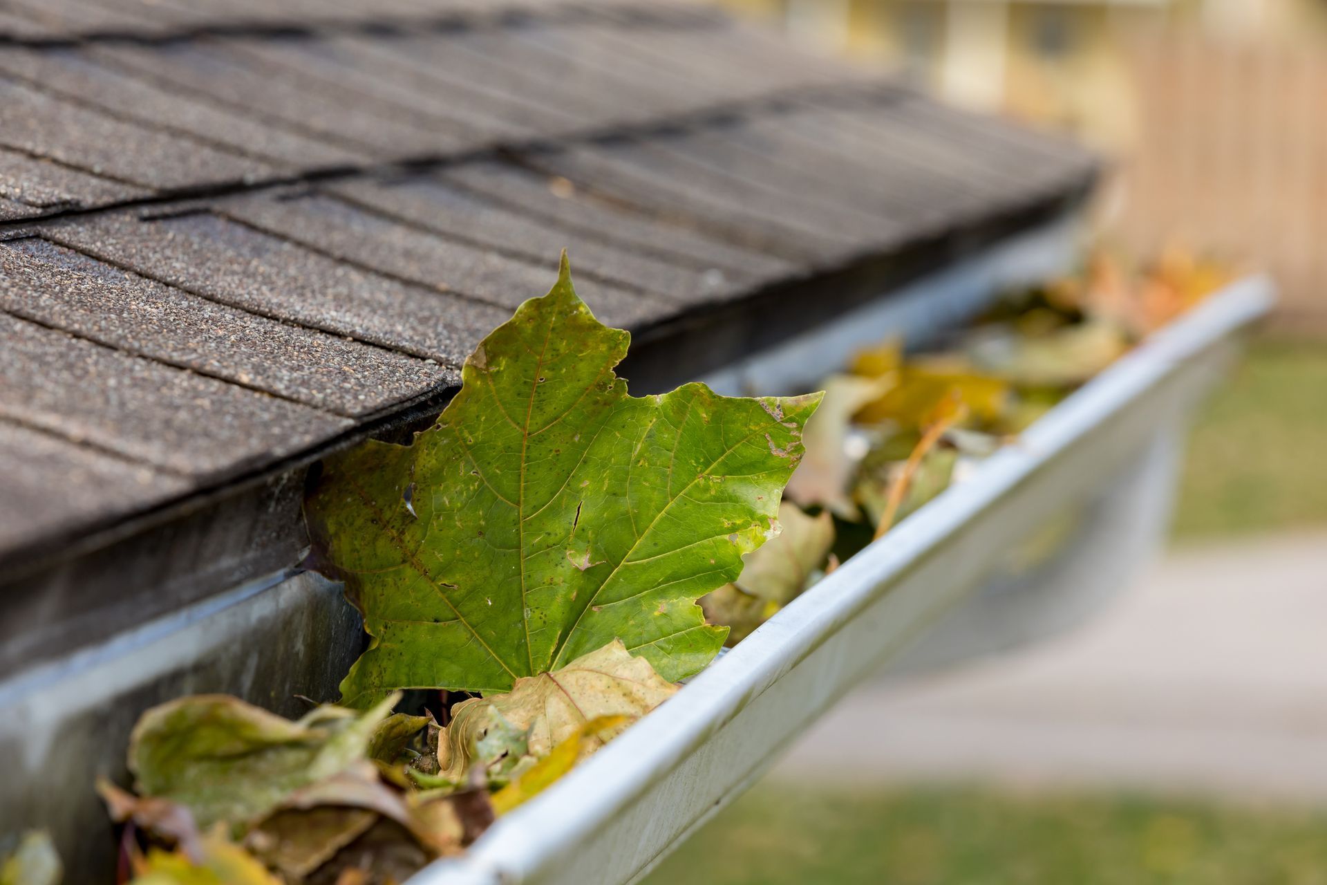 Gutter With Leaves — Sacramento, CA — Bernardino Roofing