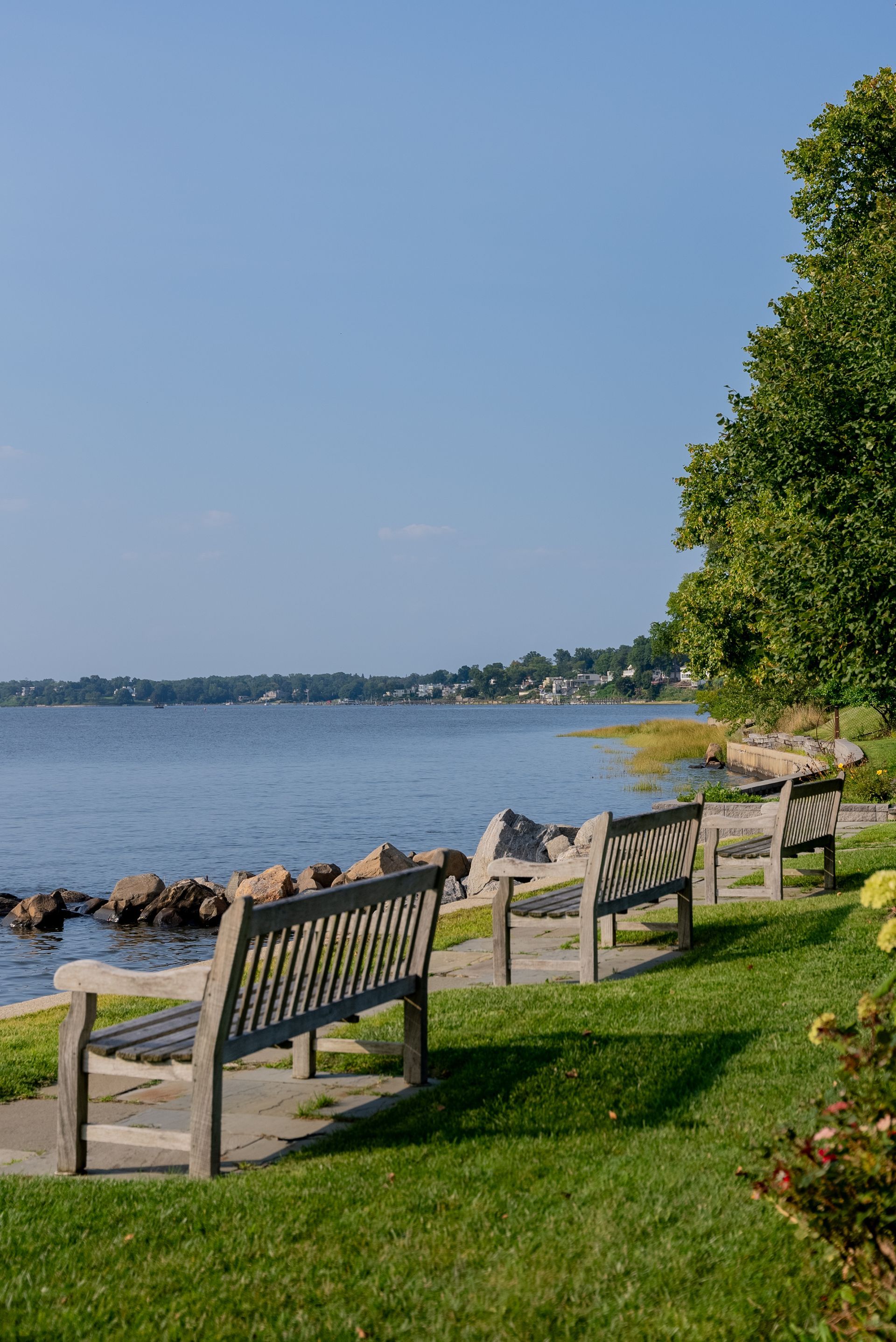 A row of benches sitting next to a body of water.
