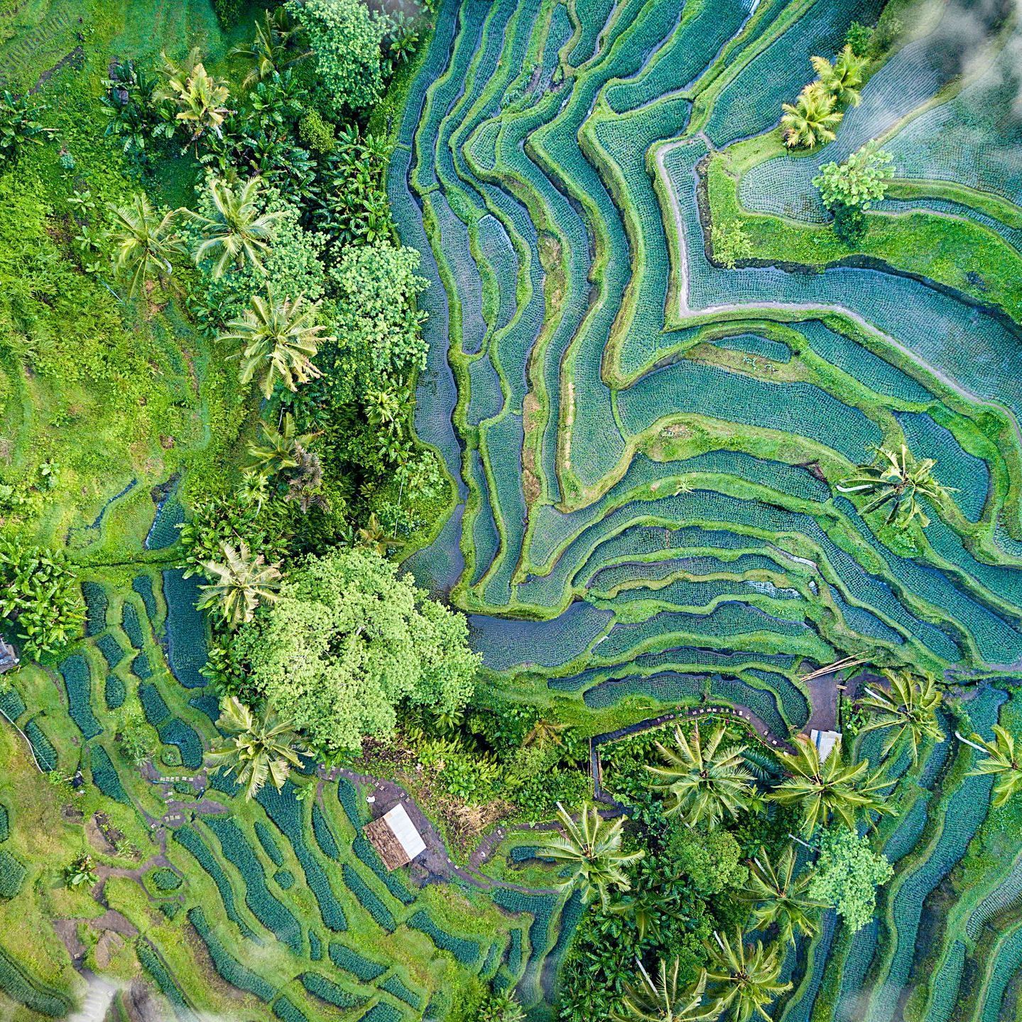 viaggi in indonesia