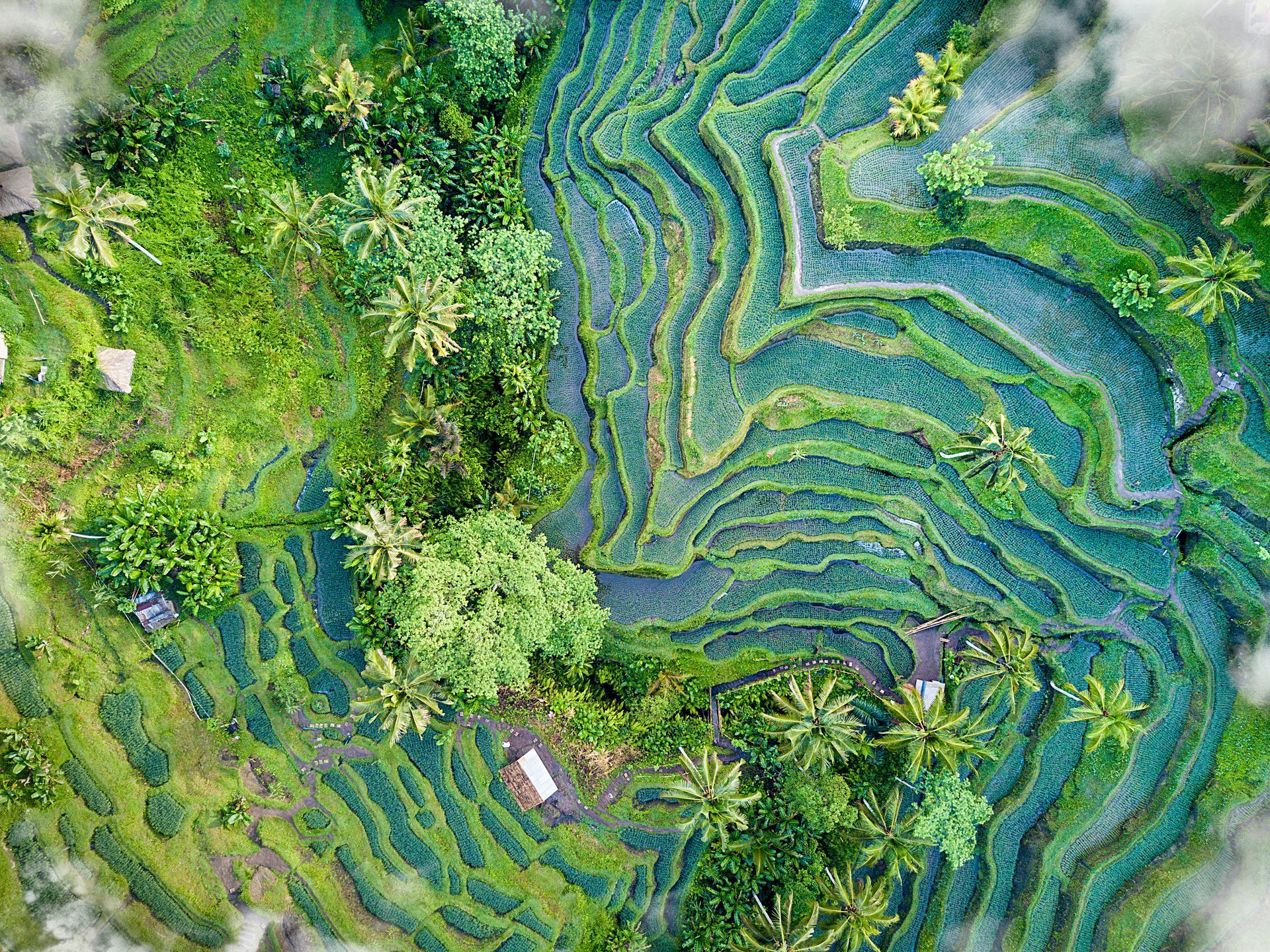 viaggio in indonesia