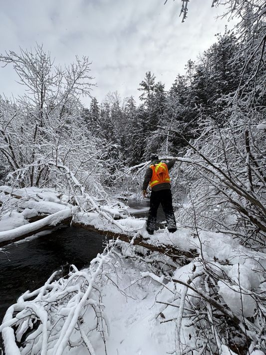 Hiker in bright orange jacket crossing a snowy stream in a winter forest