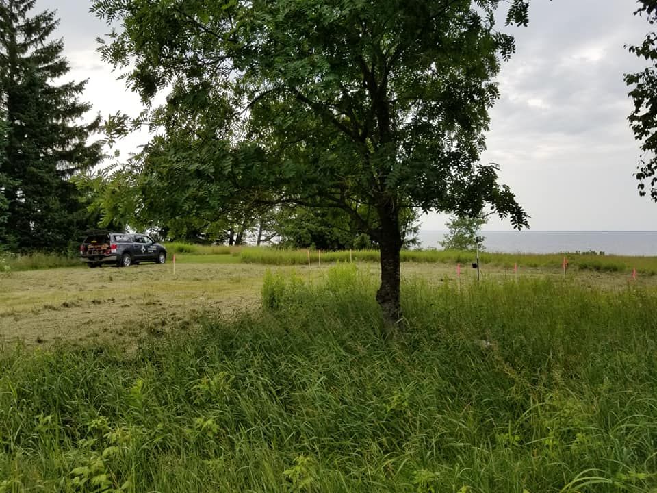A dark car parked in a field near a large tree, with a body of water visible in the distant background under a cloudy sky.