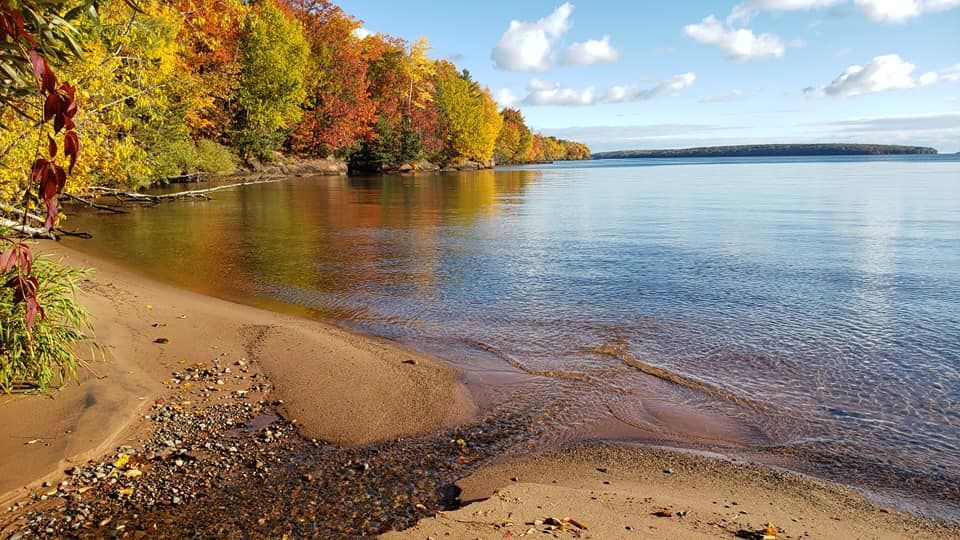 A scenic lakeshore in autumn with vibrant fall foliage, a sandy beach, and calm water under a clear blue sky.