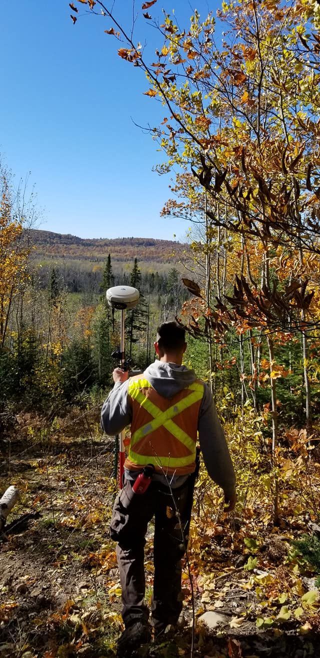 A person wearing a high-visibility vest walks through a forest carrying a surveying tool on a sunny autumn day.