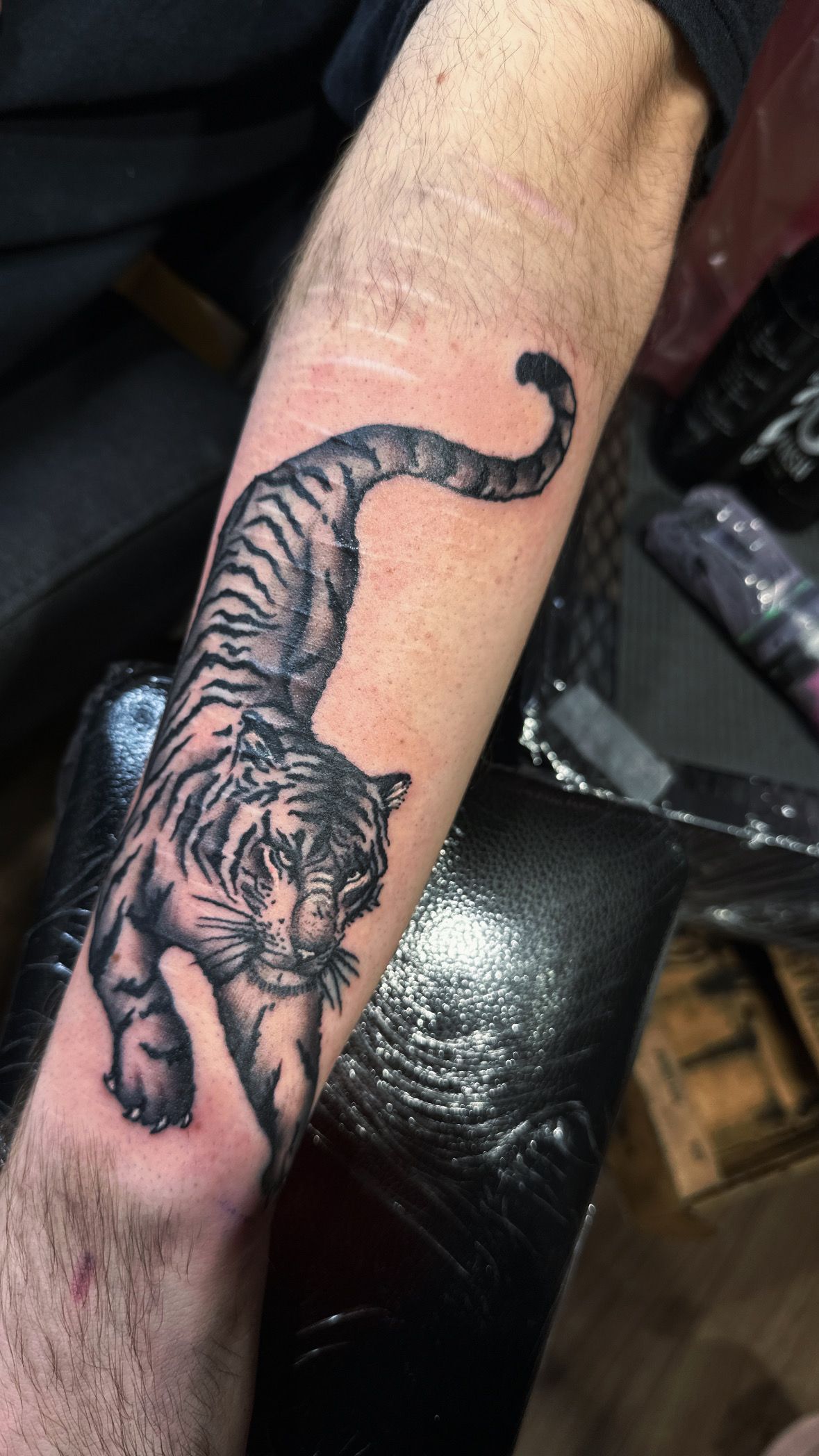 A black and grey ink tattoo of a tiger walking down an arm, positioned vertically along the forearm.