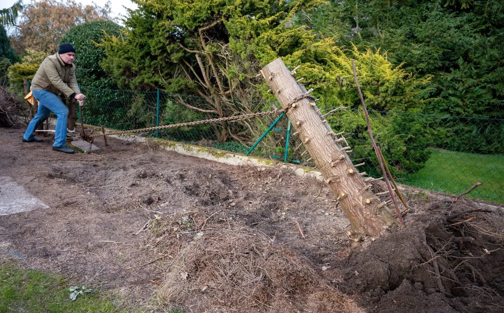 Fallen tree trunk on a dirt slope near a wooded area.