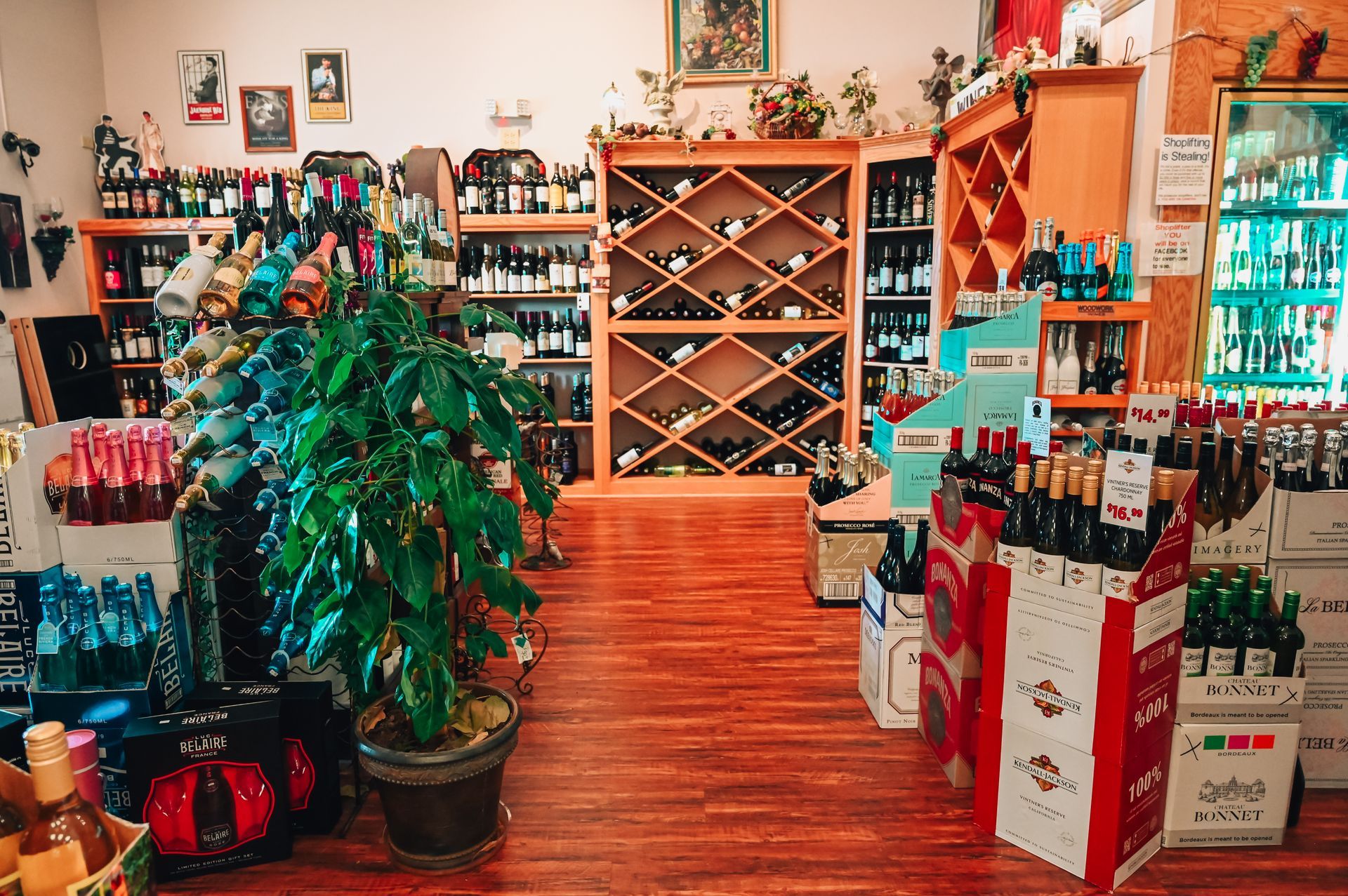 Interior of a wine shop; rows of wine bottles on shelves, wooden floors, and a potted plant in the center.