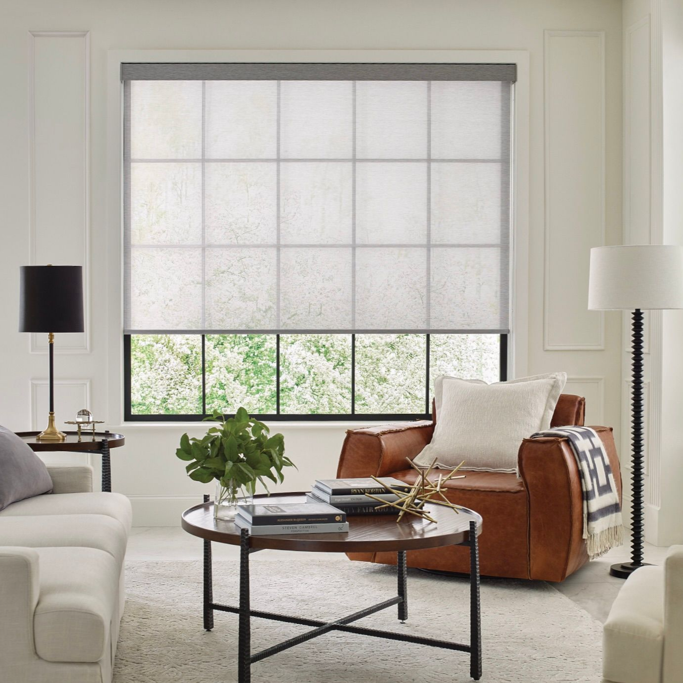 Hunter Douglas Designer Roller Shades