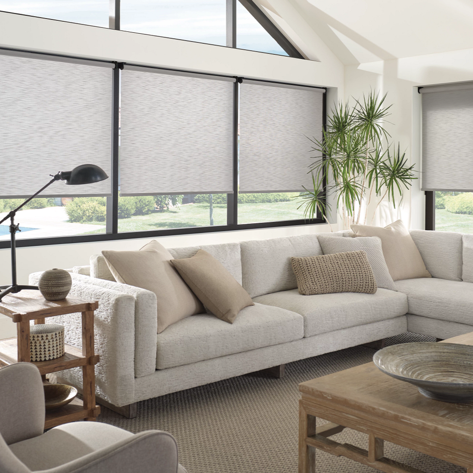 Hunter Douglas Designer Roller Shades