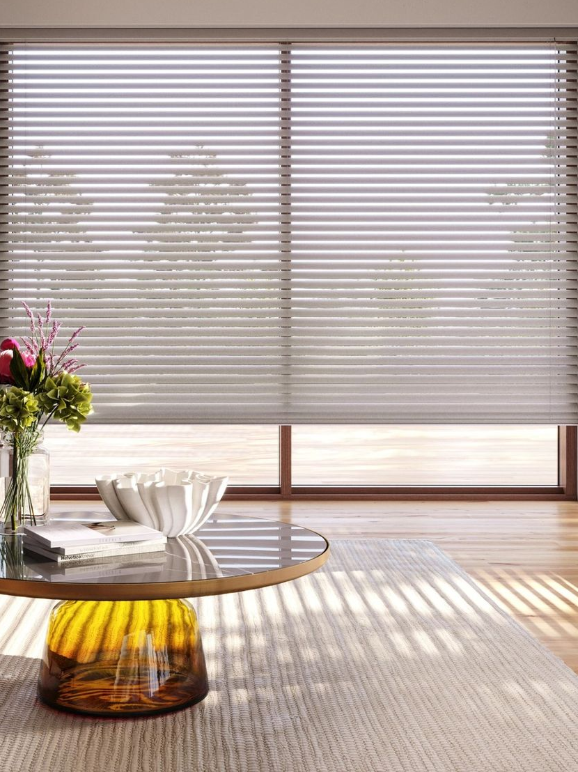 Hunter Douglas Aria™ Soft Blinds