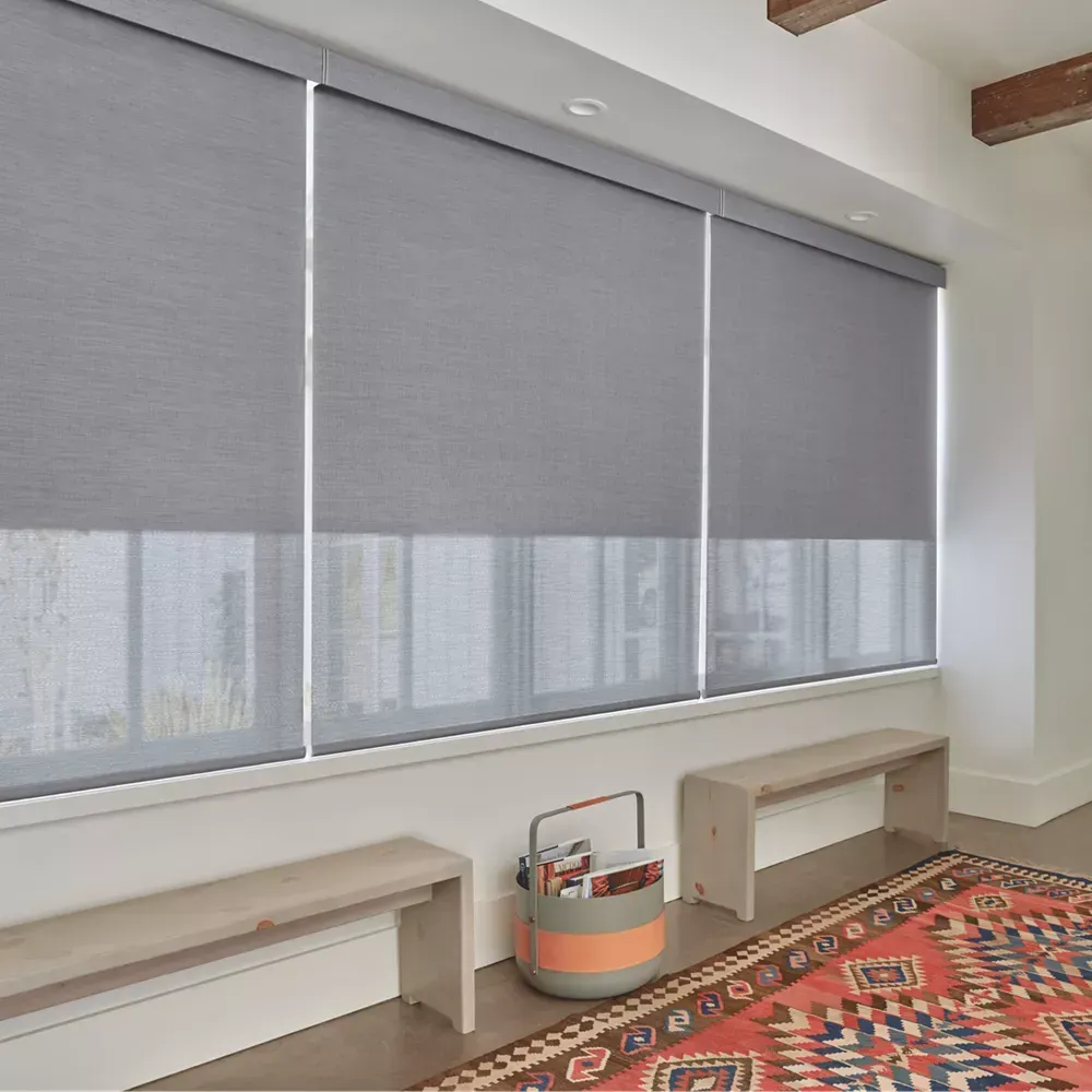 Hunter Douglas Designer Roller Shades with Duolite®