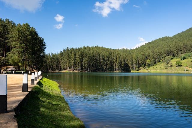 direct cremation Albuquerque, NM