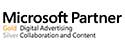 Microsoft Partner logo