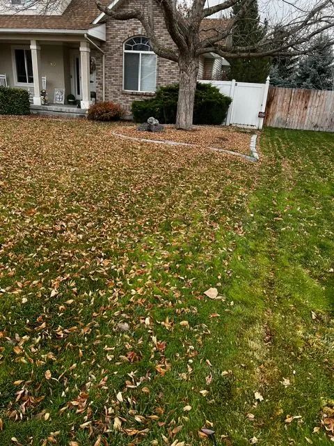 Front yard with fallen leaves, a tree, and a house porch beside a green lawn strip