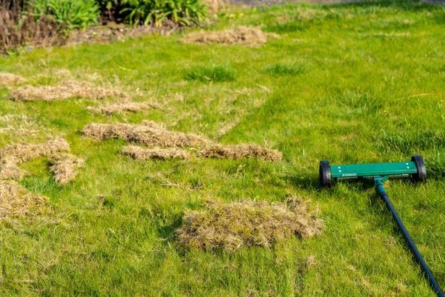Lawn mower on a grassy lawn cutting scattered grass clippings