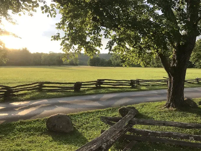 Sunlight over a green field with a split rail fence and a tree, creating a peaceful, rural scene.