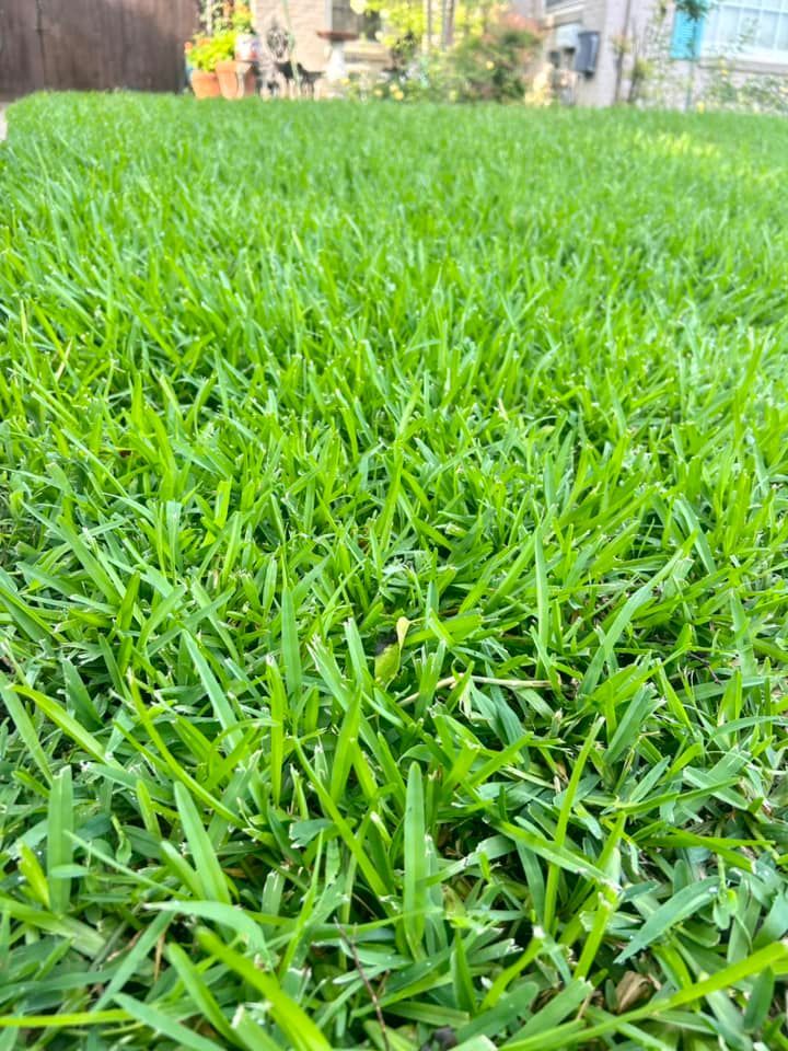 A Close up Of a Lush Green Lawn with A Fence in The Background - Collinsville, TX - L5 Irrigation