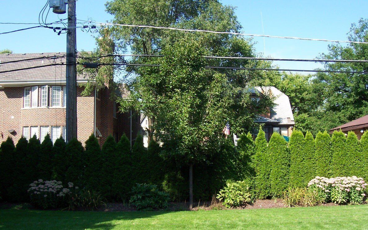 A lush green yard with a fence and a house in the background