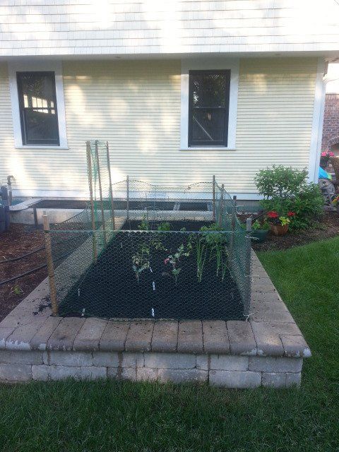 A fenced in garden in front of a house