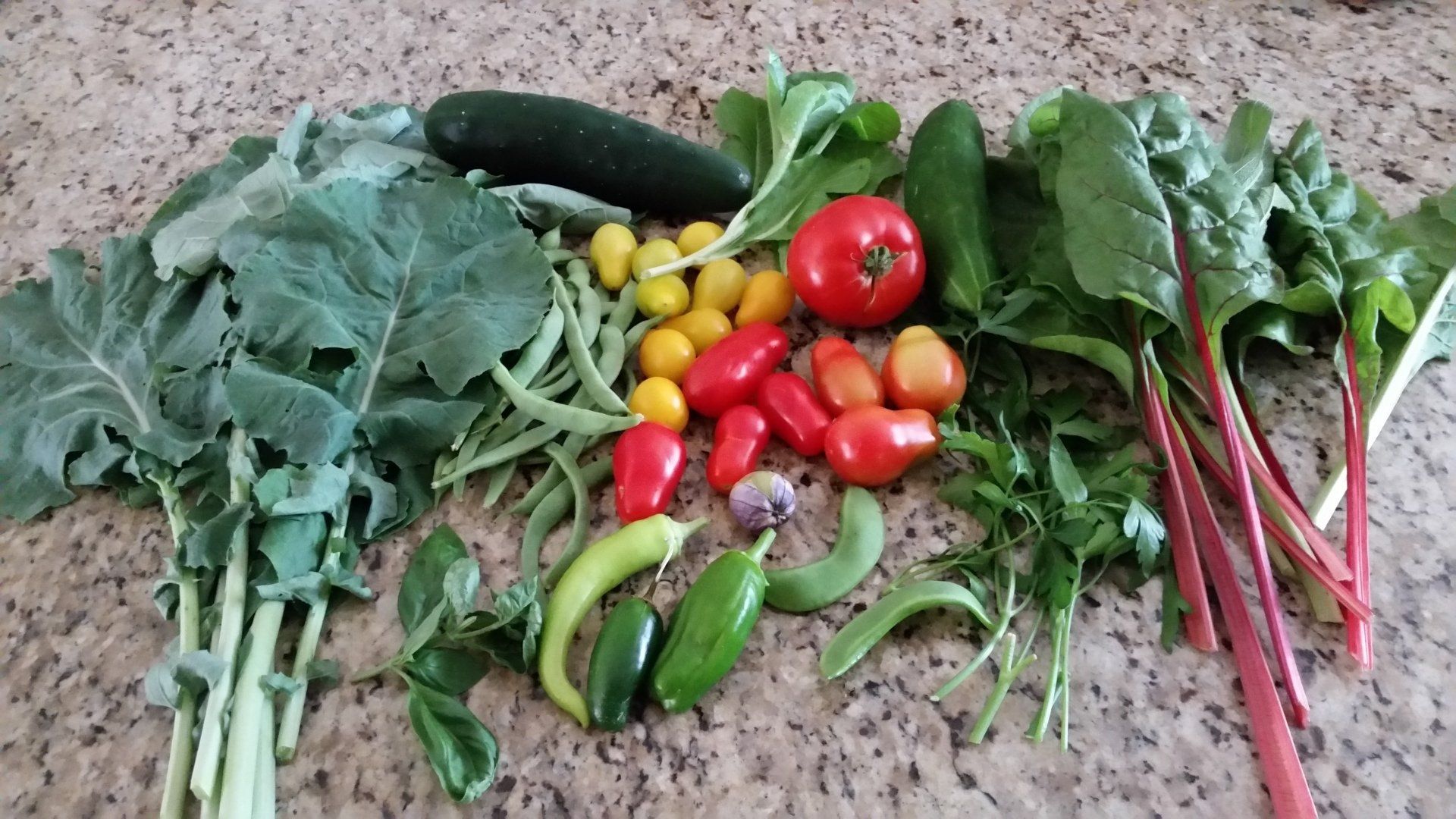 A bunch of vegetables are sitting on a counter
