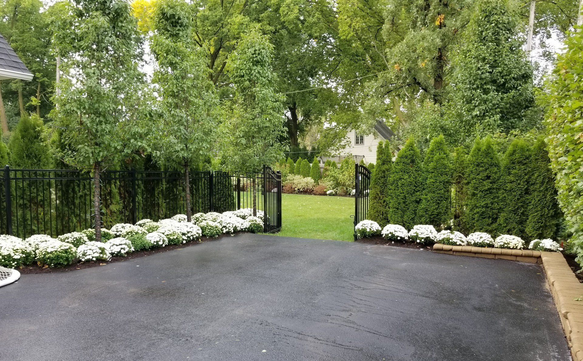 A black driveway leading to a house surrounded by trees and bushes.