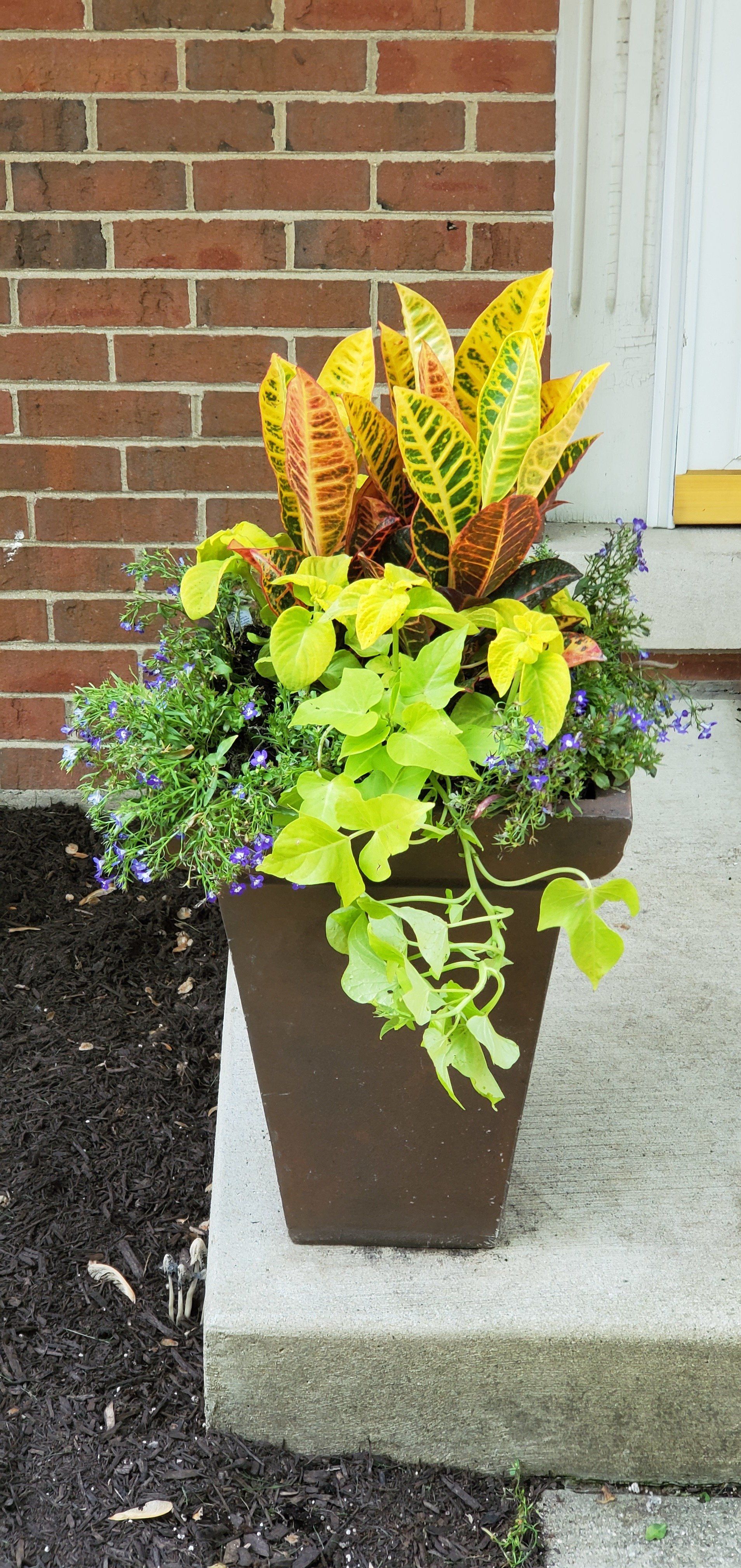 A potted plant is sitting on a porch in front of a brick building.
