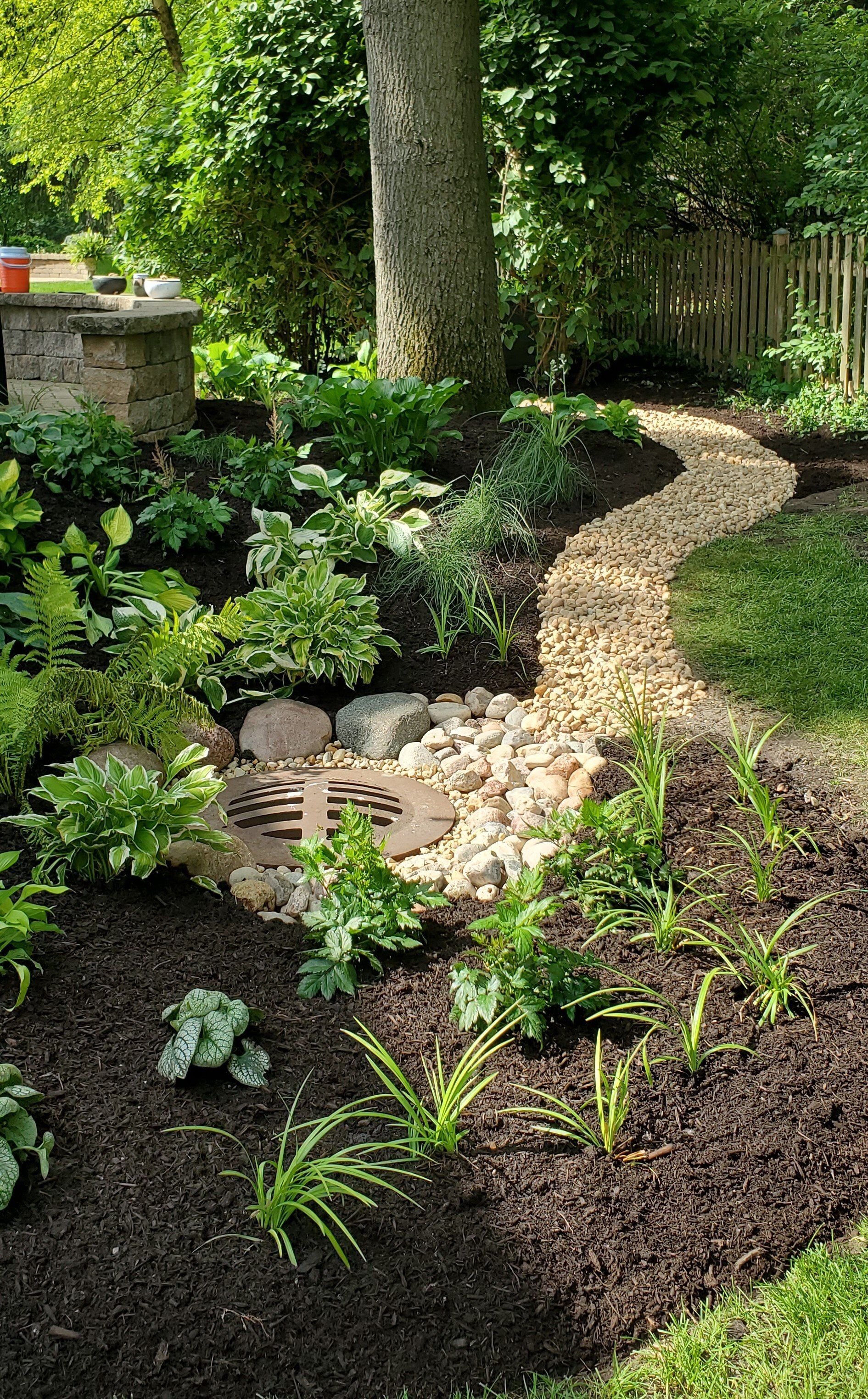 There is a path in the middle of the garden.