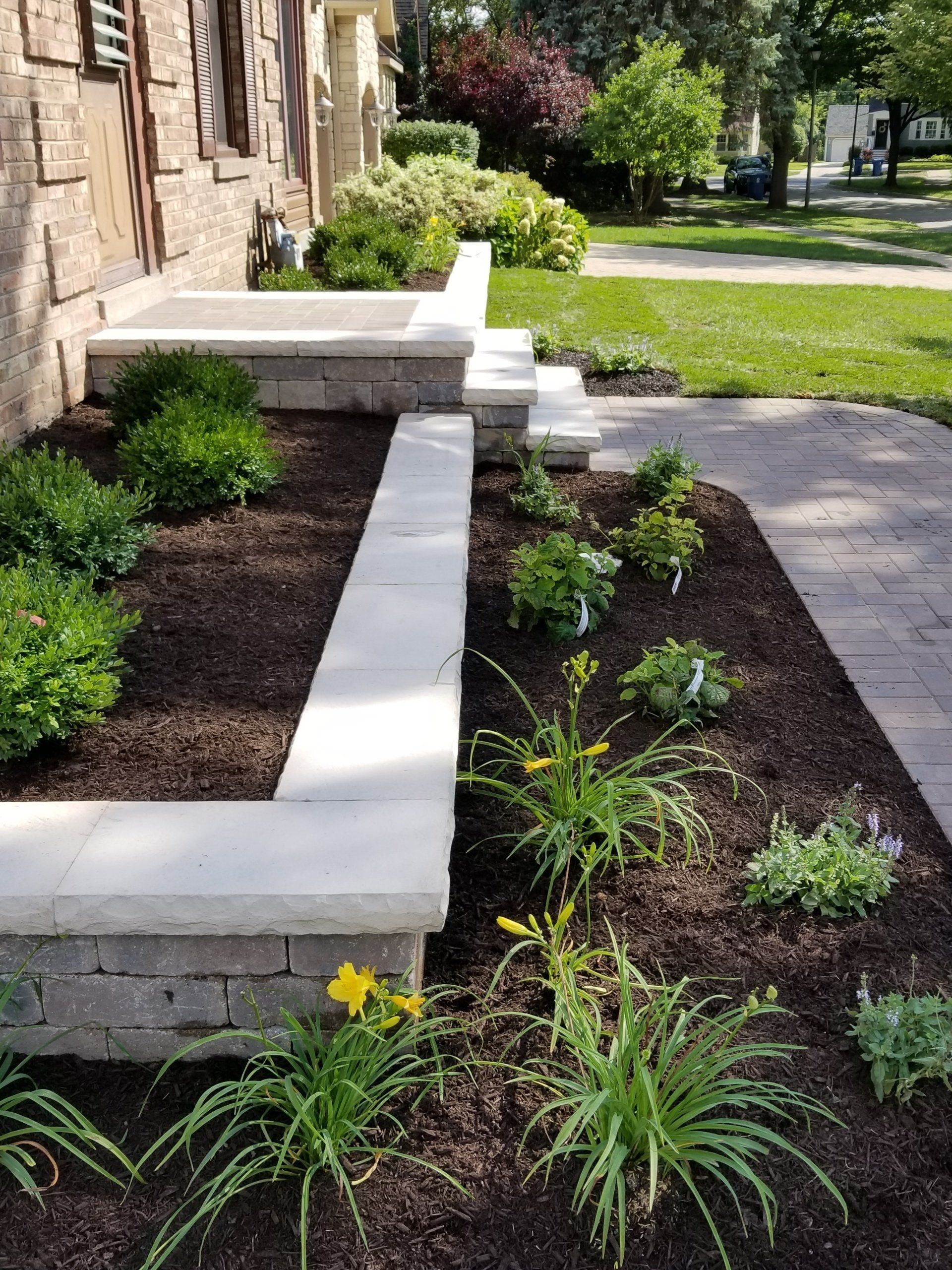 A garden with a bench and steps in front of a house.