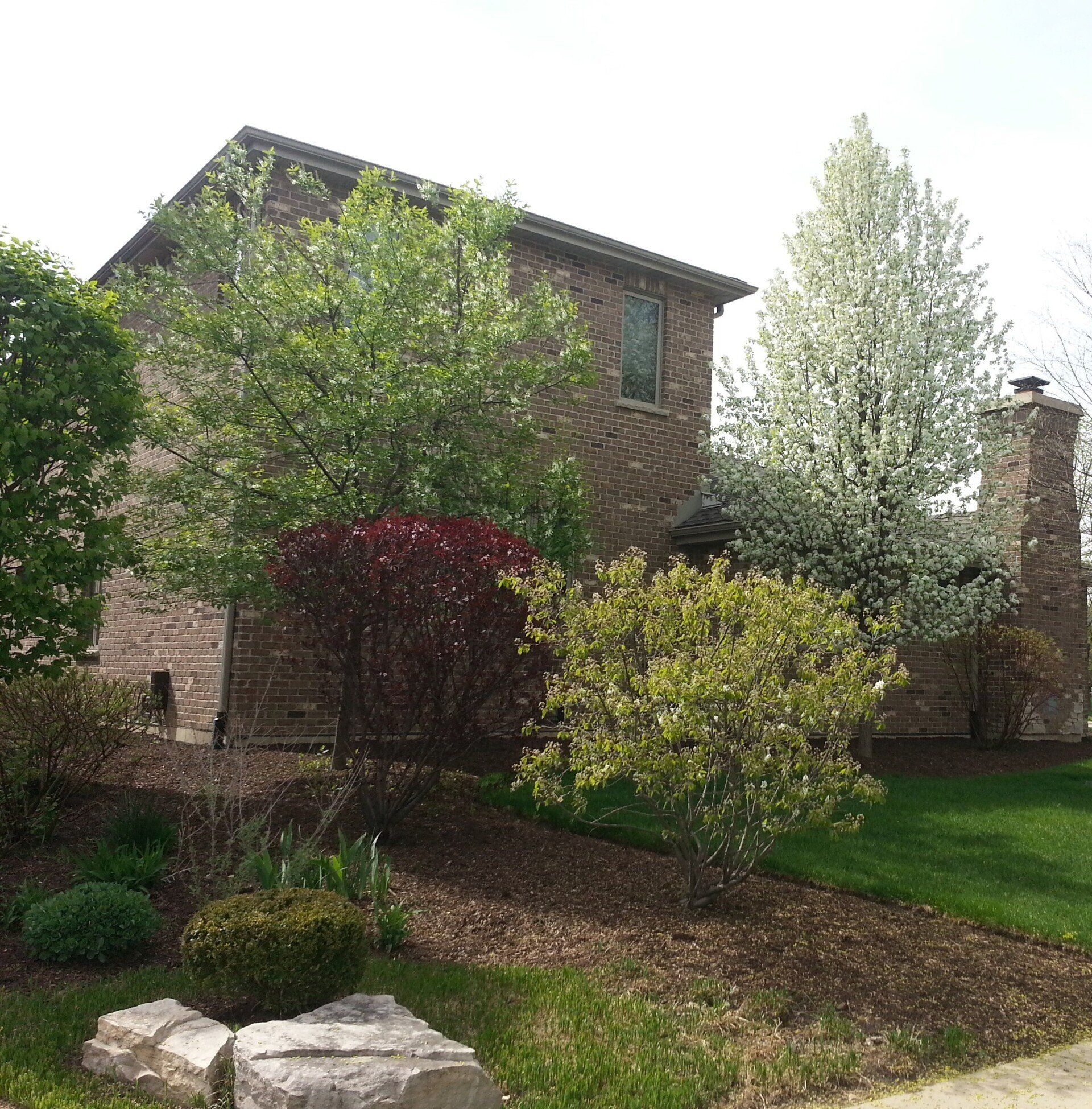 A brick house with trees and bushes in front of it