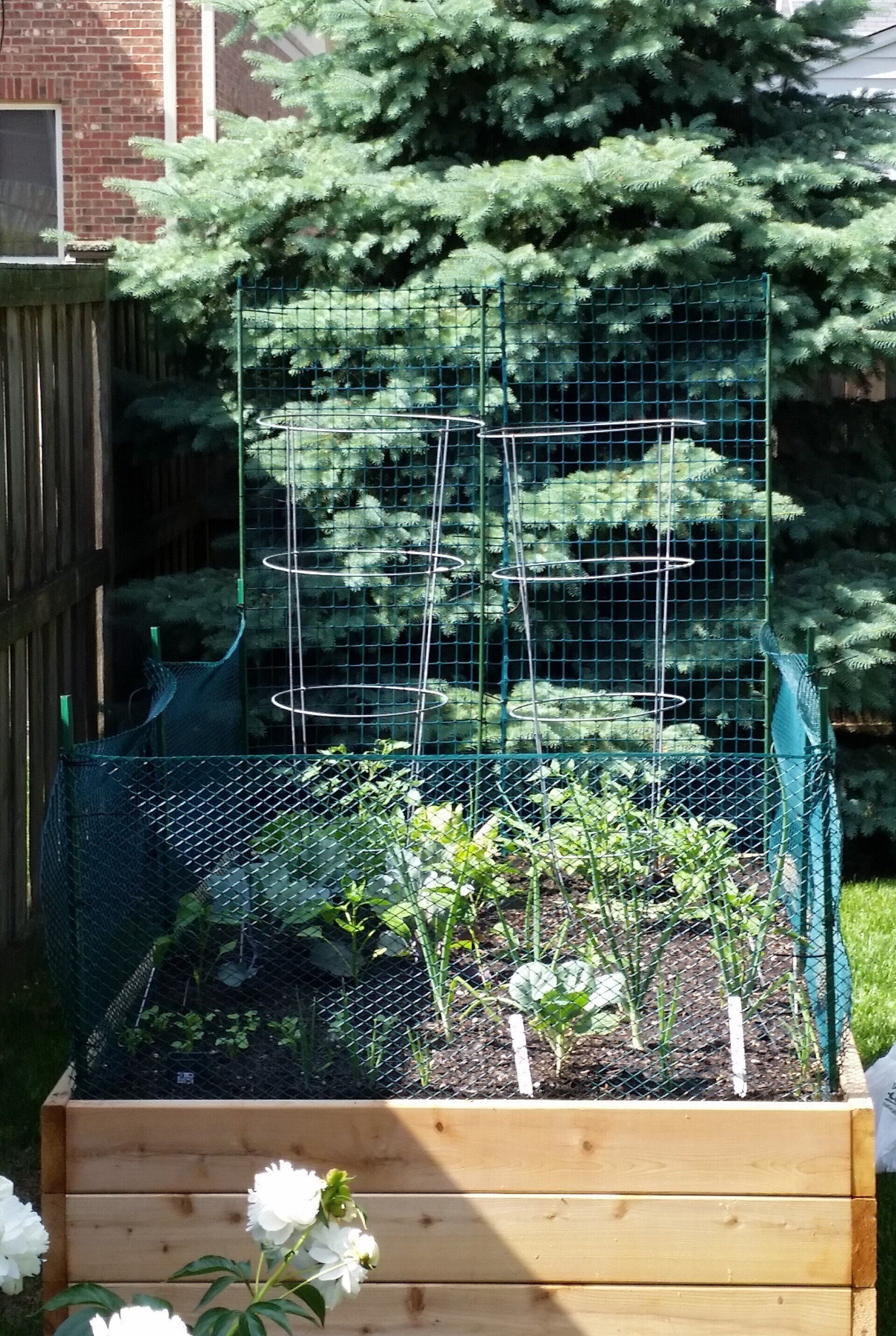 A wooden planter filled with plants and flowers in a backyard.