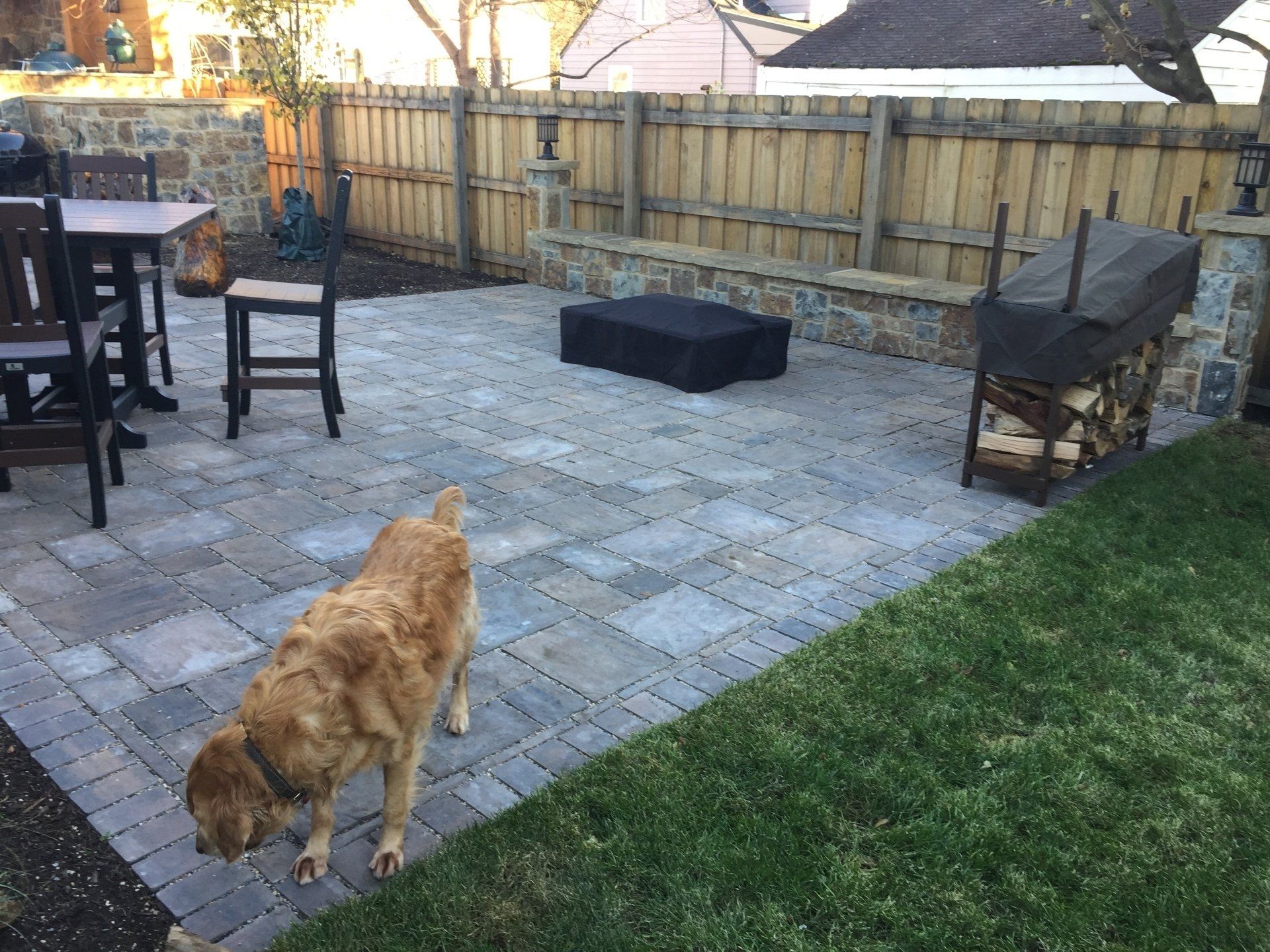 A dog is standing on a patio next to a table and chairs.