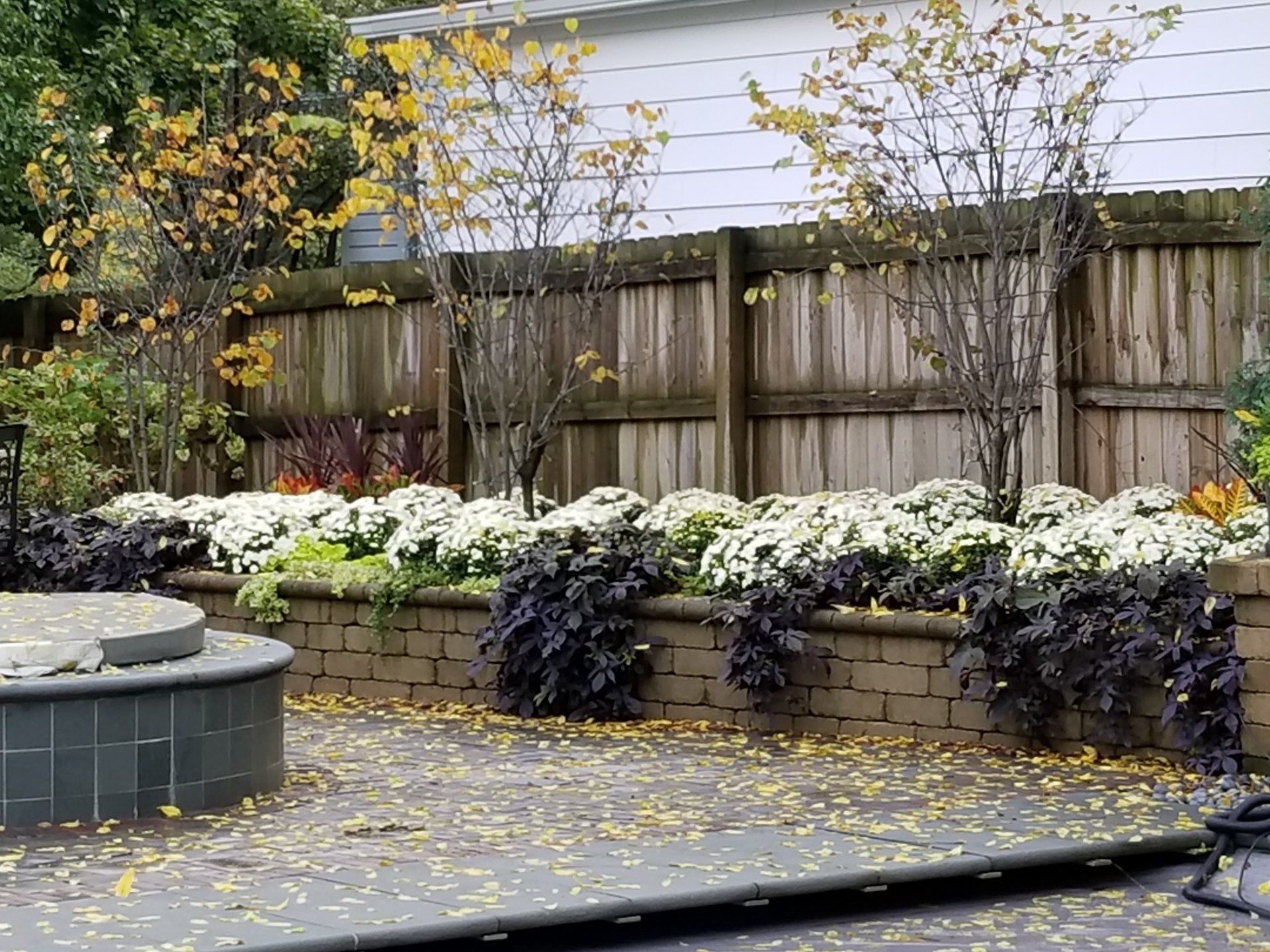 A wooden fence surrounds a patio with flowers and plants.