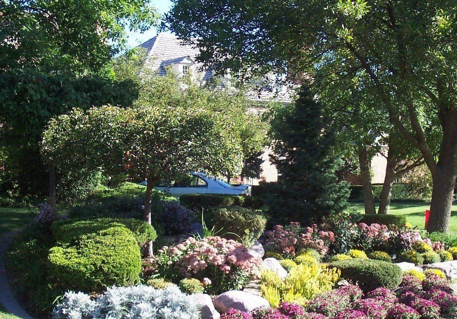 A garden filled with lots of flowers and trees
