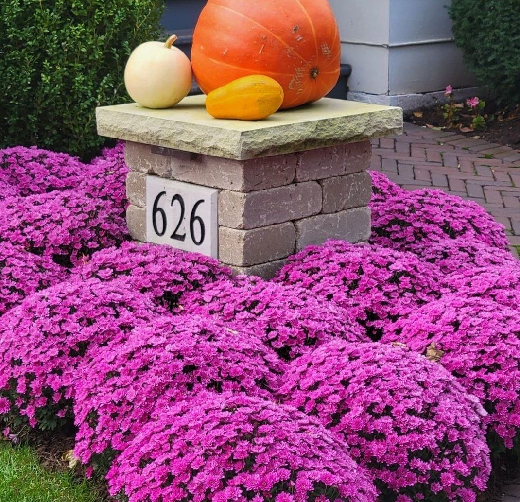 A pumpkin is sitting on top of a brick pillar surrounded by purple flowers.