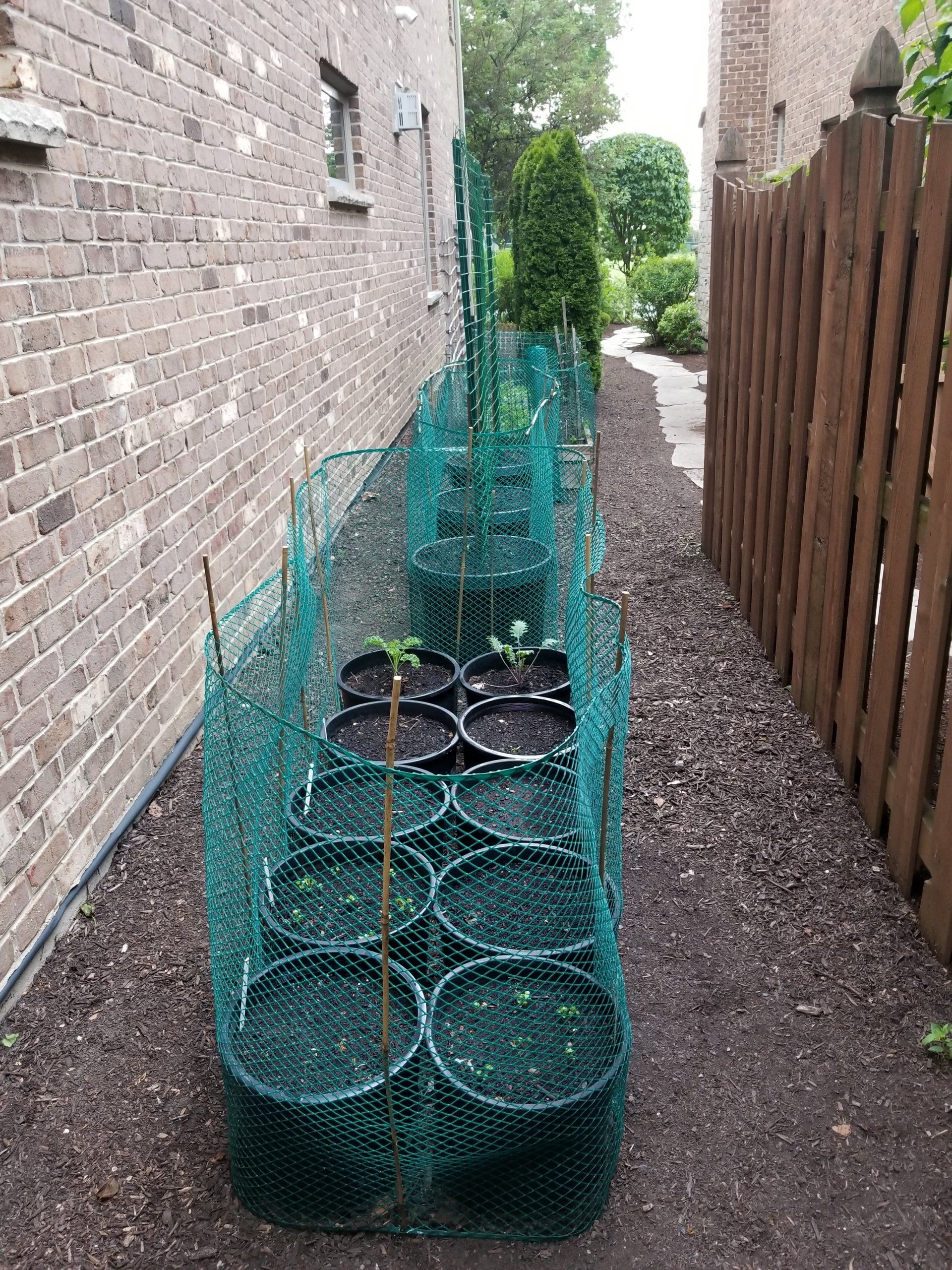 A row of potted plants in a fenced in area next to a brick building.