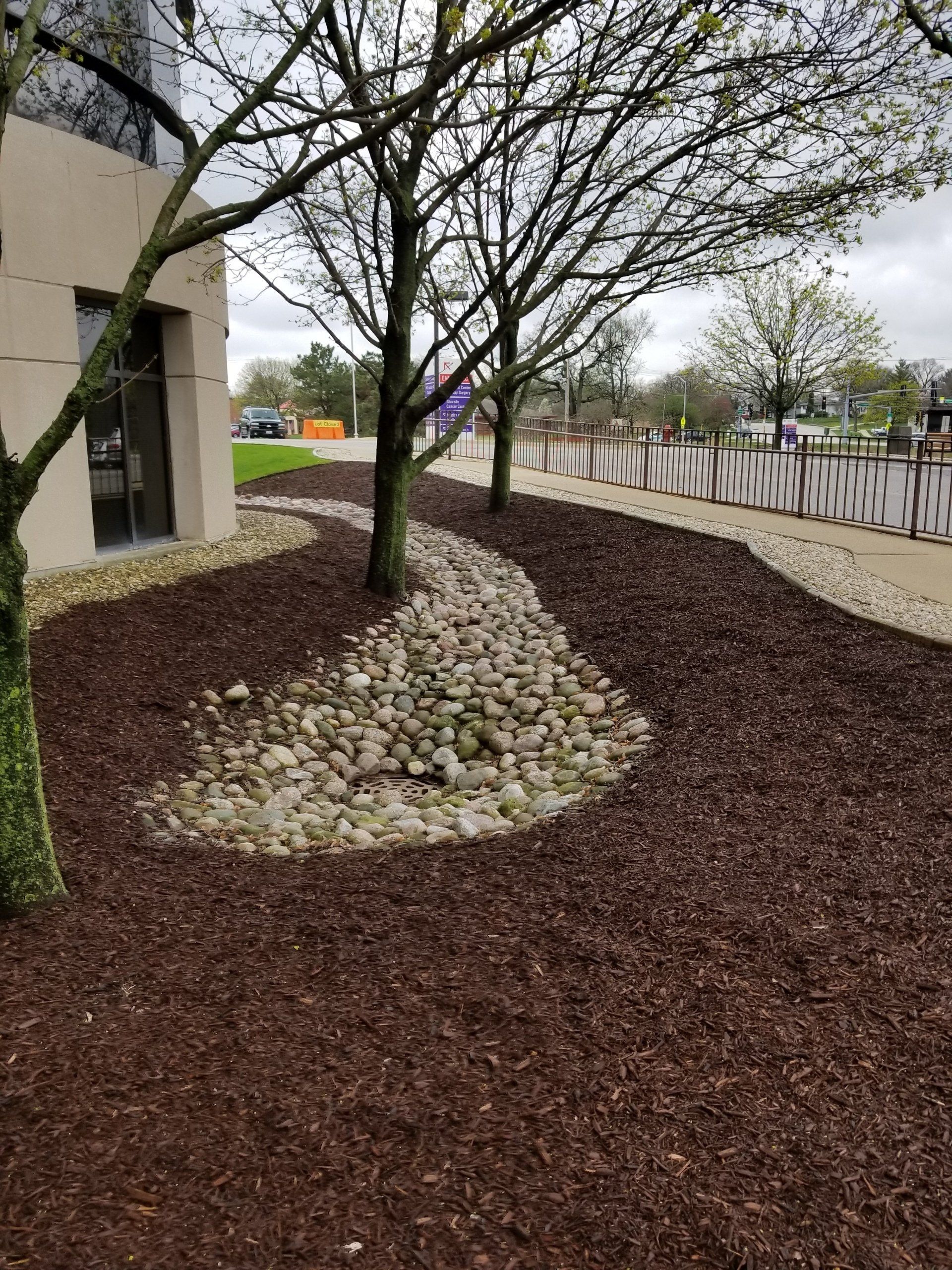 A row of trees surrounded by mulch and rocks in front of a building.