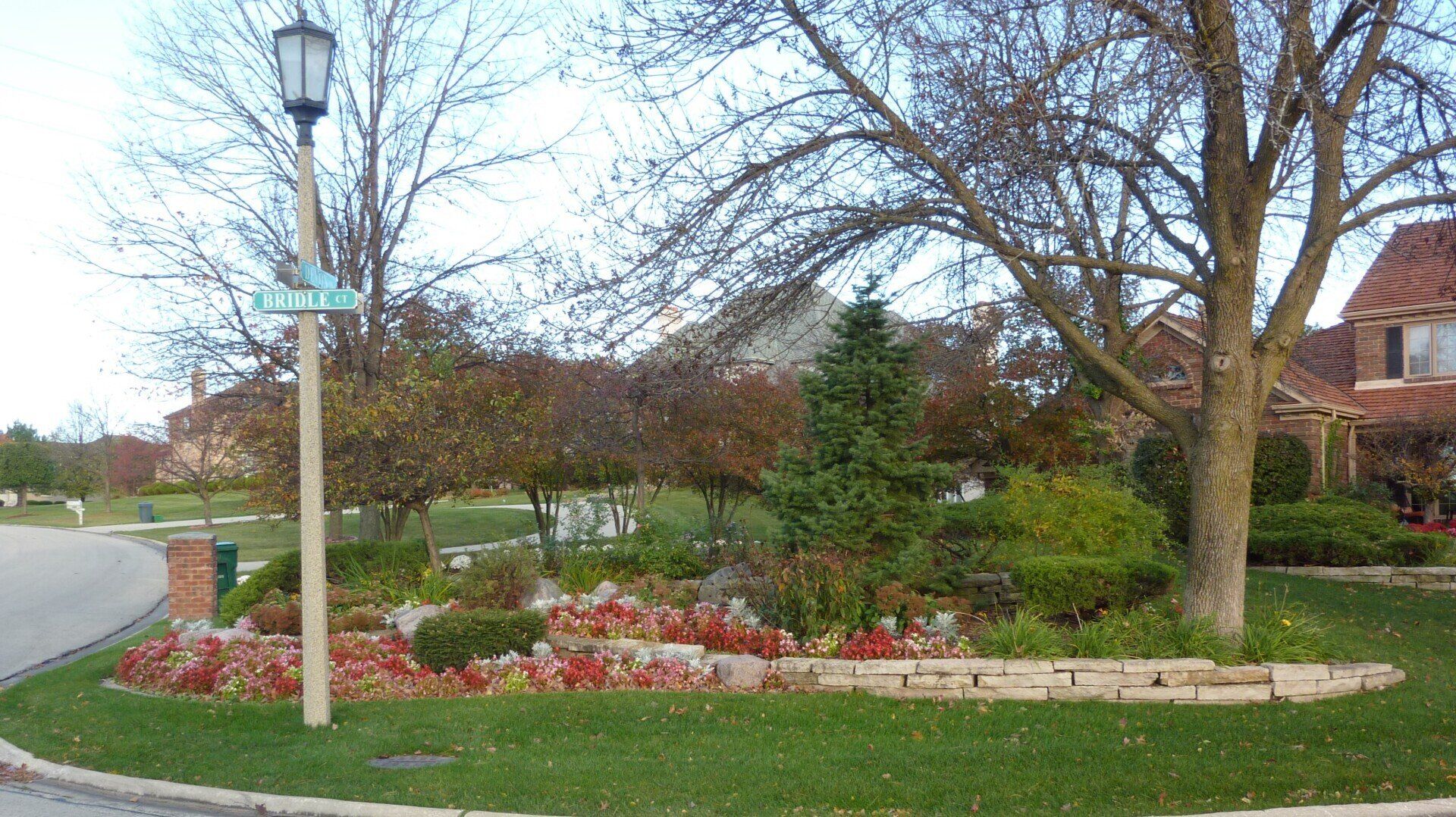 A street light is in the middle of a lush green yard.