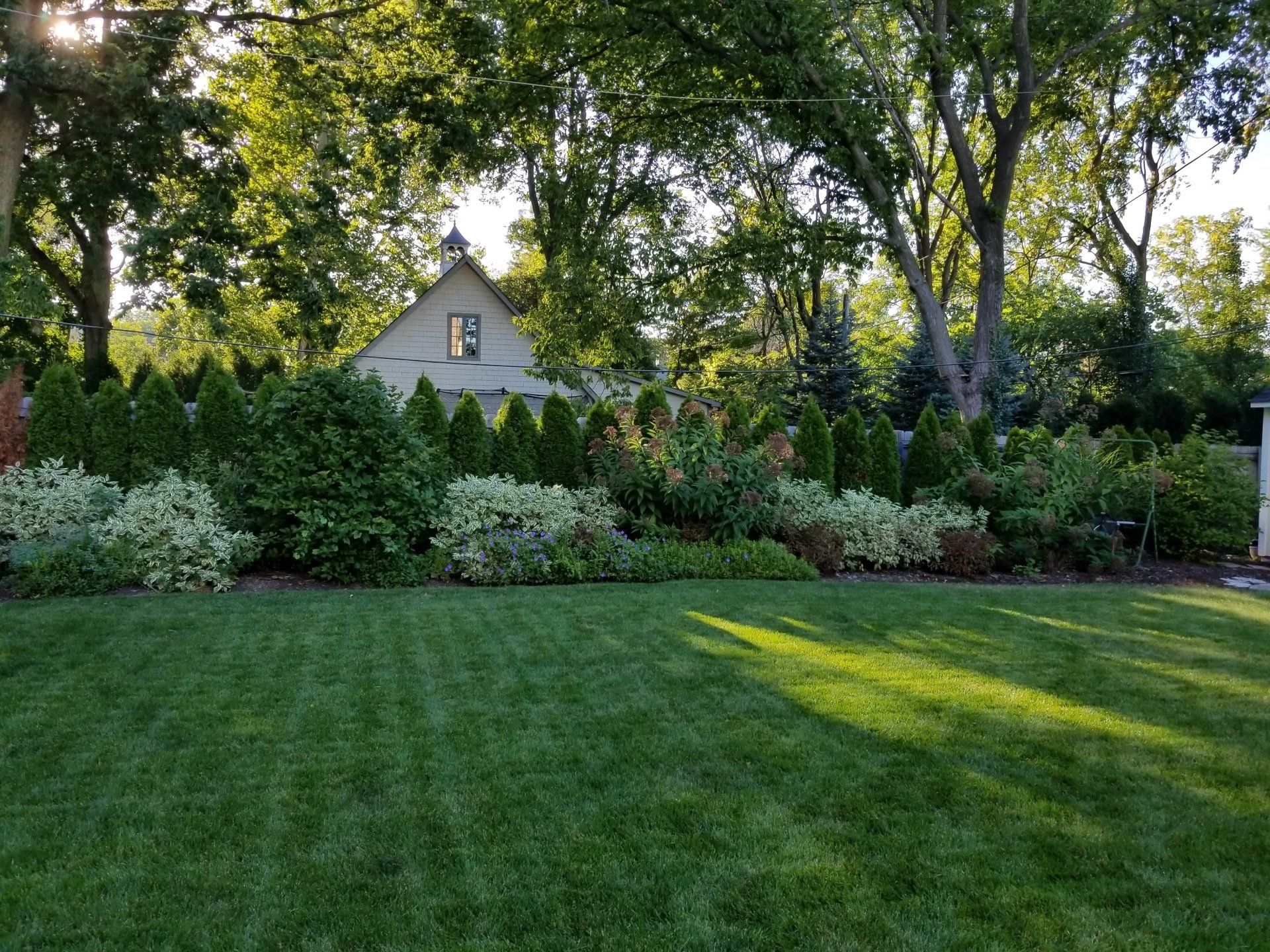A lush green lawn in front of a house with trees in the background.