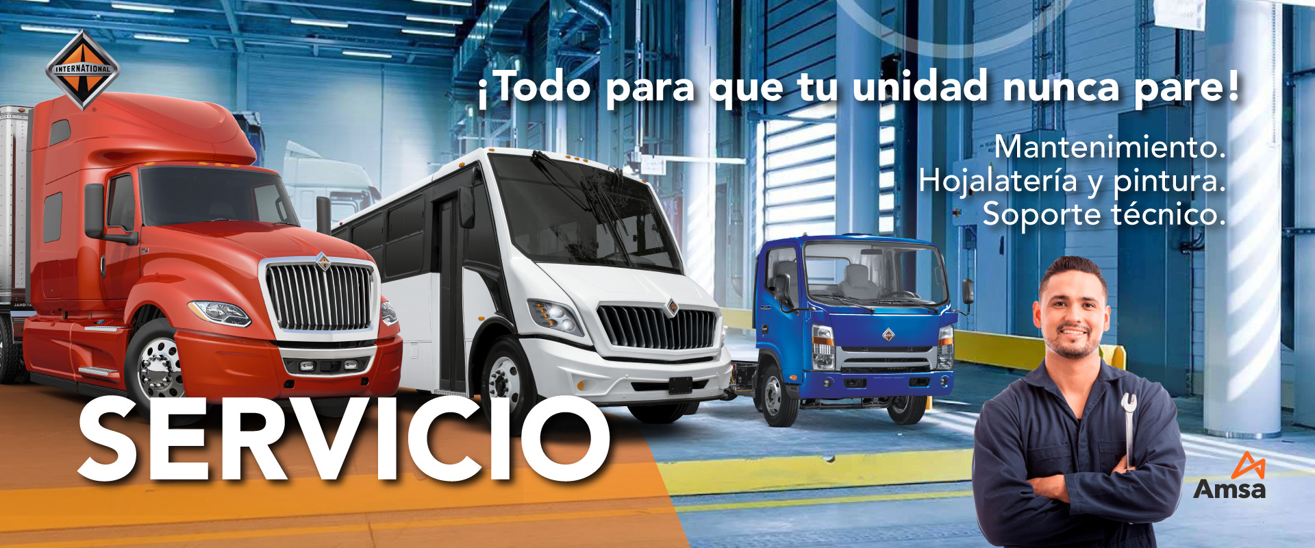 Amsa - Servicios