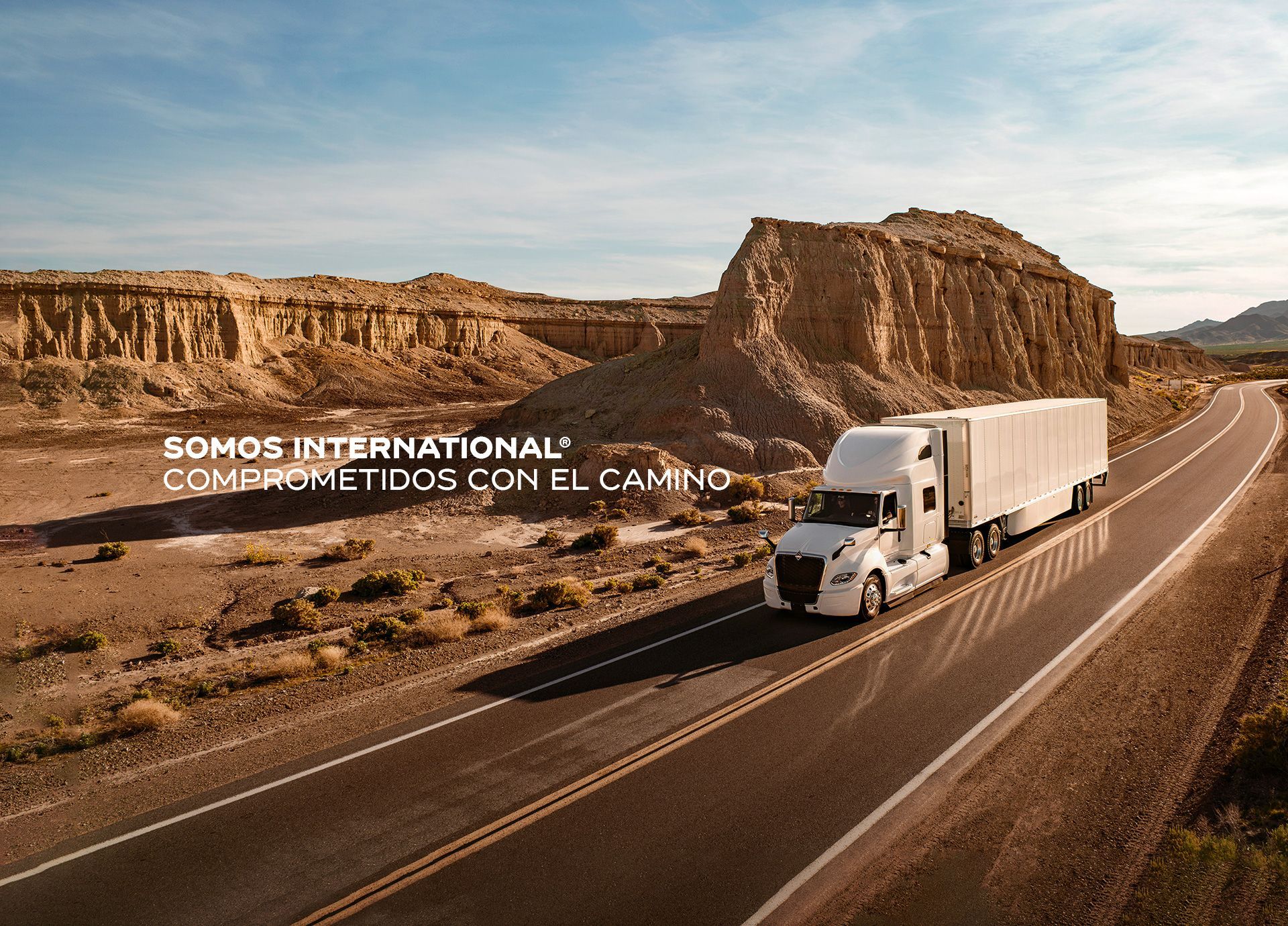 Amsa Camiones International