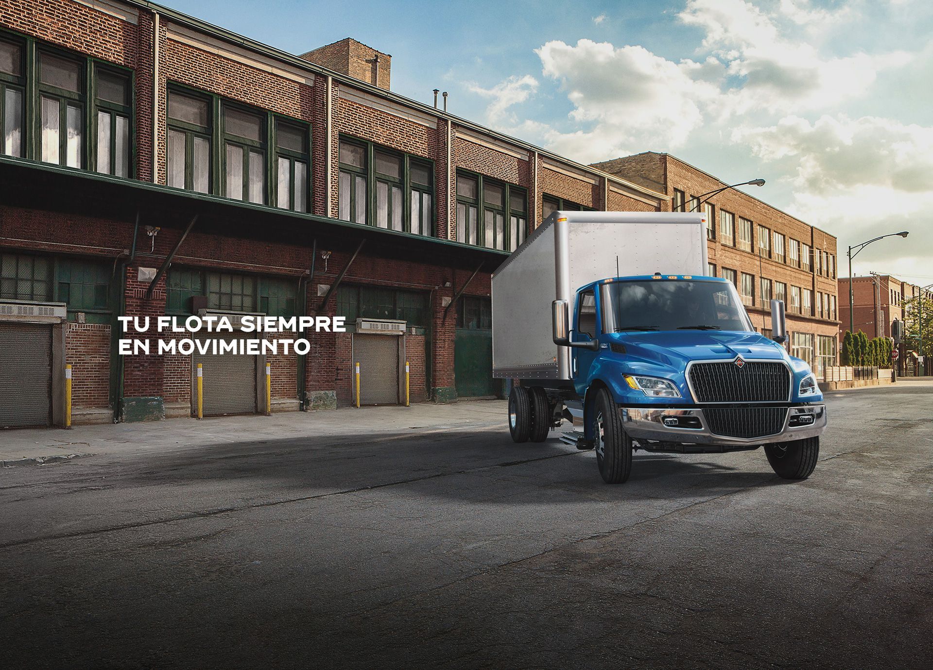 Amsa Camiones International