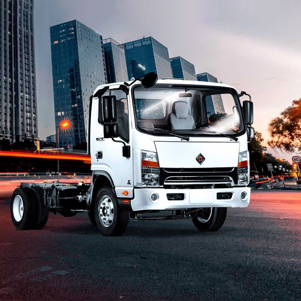 Amsa Camiones International