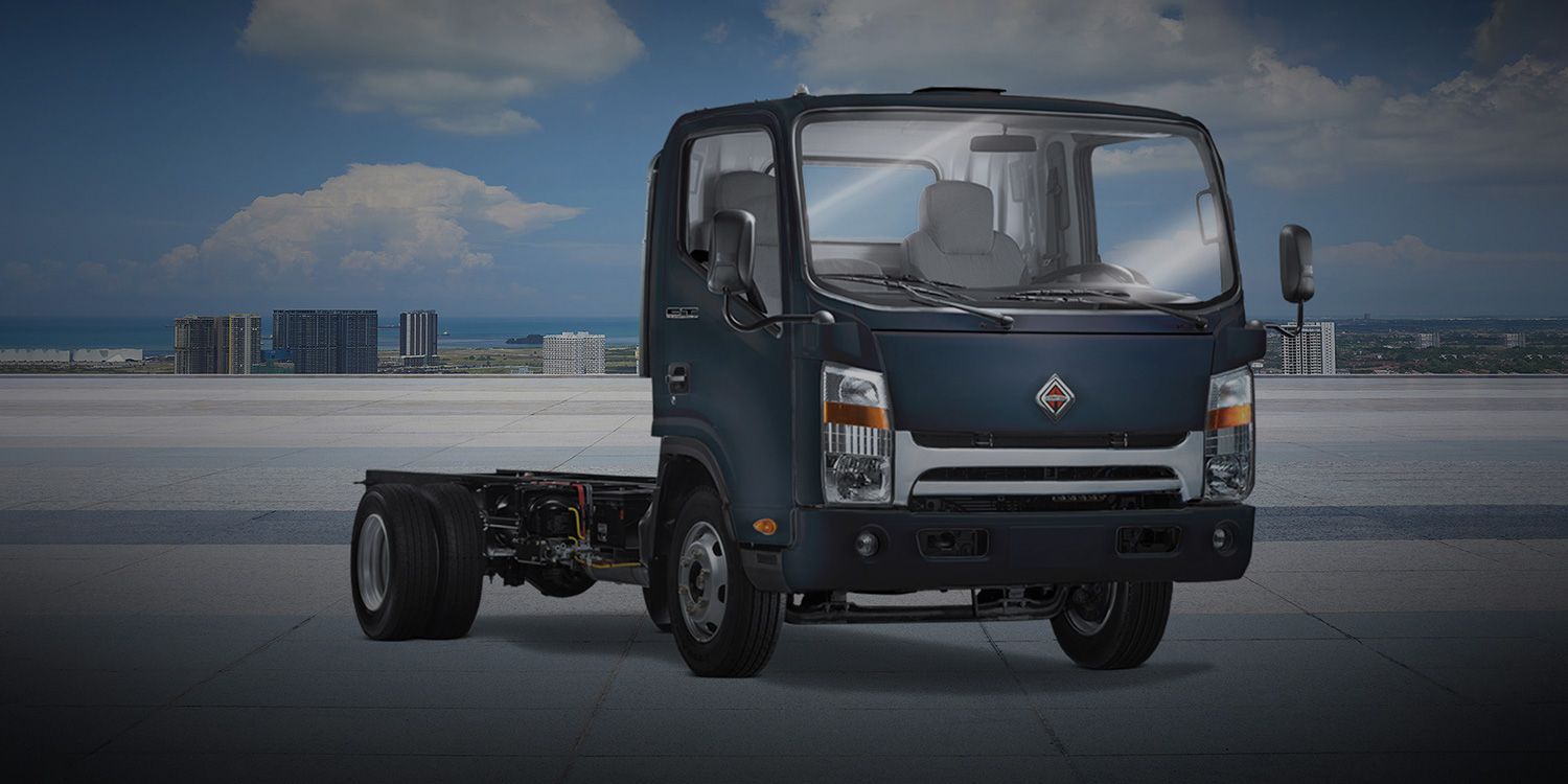 Amsa Camiones International - Medianos