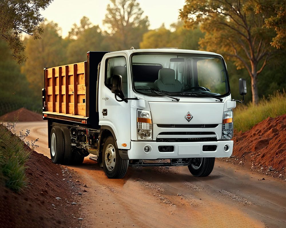 Amsa Camiones International - Ligeros