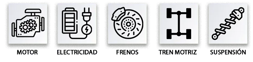 Amsa - Servicios