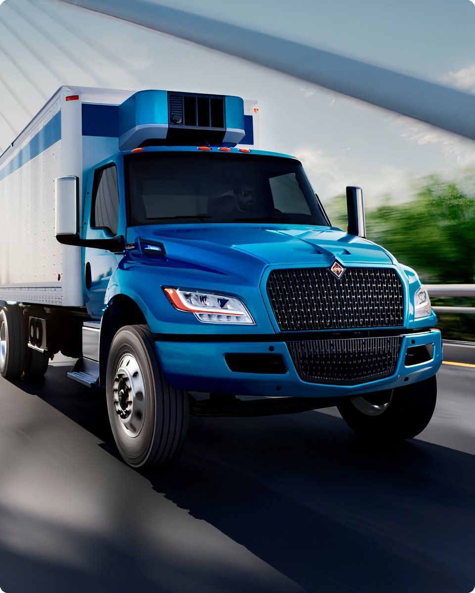 Amsa Camiones International - Eléctricos