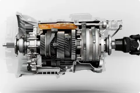 Amsa Camiones International